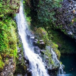 Meet your Posher, Ken